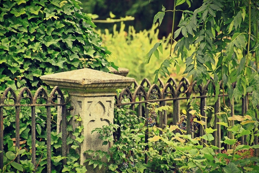 Clôture qui résiste au vent : comment la choisir ?